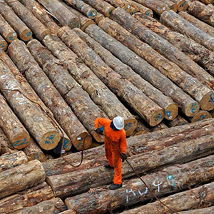 Jonathan Barran Forestry Photography, Forestry Photographer in Rotorua NZ